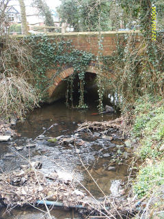 Hostel bridge